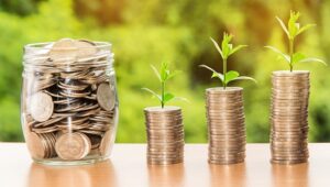 Verso un'economia più verde: tendenze e sfide