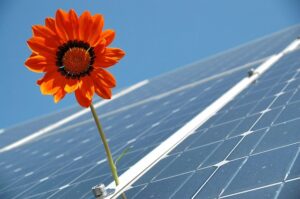 Quali settori beneficiano maggiormente delle energie rinnovabili?
